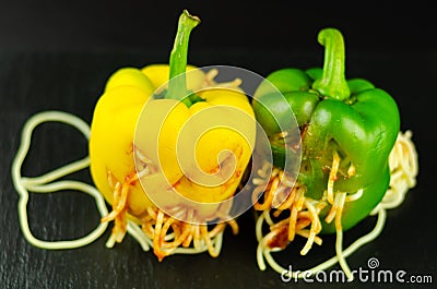 Color stuffed peppers with scary cutout faces, halloween party f Stock Photo