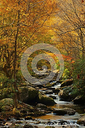 Color surrounds a small quiet stream. Stock Photo