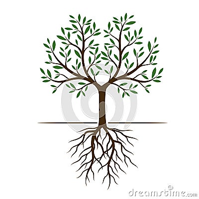 Color Tree with Leaves. Vector Illustration. Stock Photo