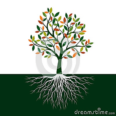 Color Tree of Life with Roots. Vector Illustration Vector Illustration