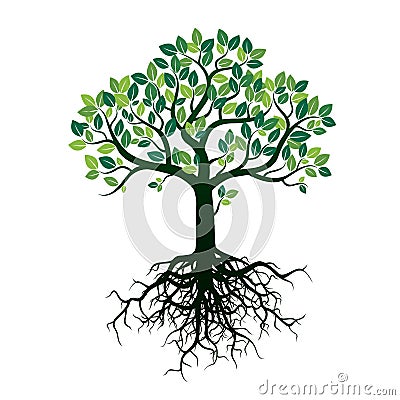 Color Tree and Roots. Vector Illustration. Stock Photo