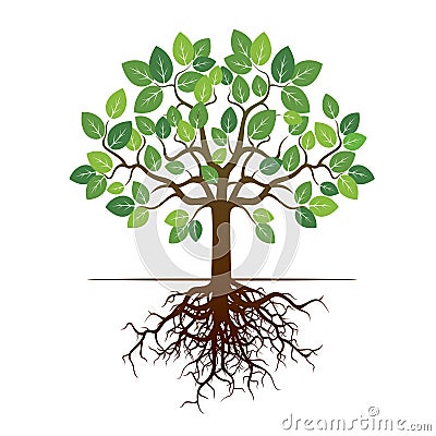 Color Tree and Roots. Vector Illustration. Stock Photo