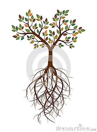 Color Tree and Roots. Vector Illustration. Stock Photo