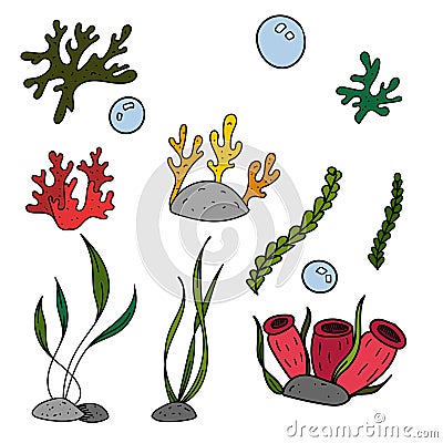 Color vector elements set, black and white drawing of a marine inhabitant, cute seaweed and corals Vector Illustration