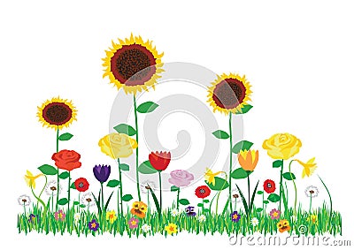 Color vector illustration of beautiful blooming flowers in the garden isolated on white background. Vector Illustration