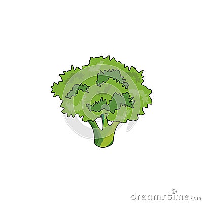 Vector illustration. Broccoli icon Vector Illustration
