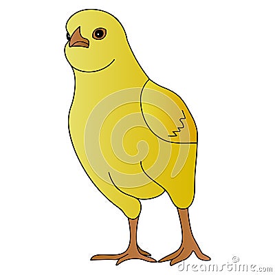 Color vector illustration of a fighting chicken ready to fight. Yellow ball. Chick on an isolated background. Cartoon style. Vector Illustration