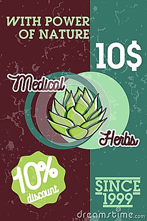 Color vintage medical plants herbs banner Vector Illustration