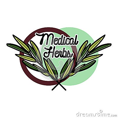 Color vintage medical plants herbs emblem Vector Illustration