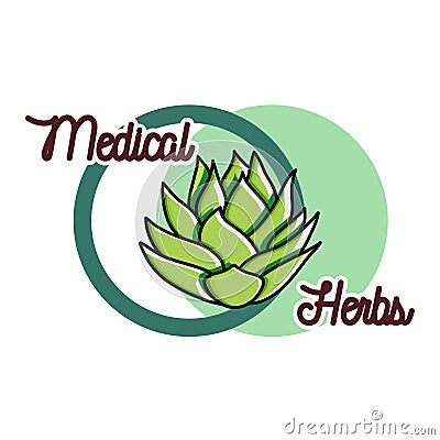 Color vintage medical plants herbs emblem Vector Illustration