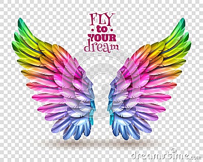 Color Wing Transparent Set Vector Illustration