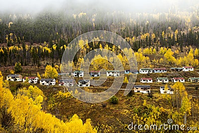 Colorado Autumn at the abandoned Gilman townsite Stock Photo