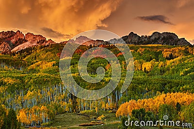 A Colorado Autumn Along Kebler Stock Photo