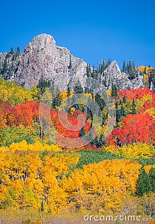 Colorado Autumn Stock Photo