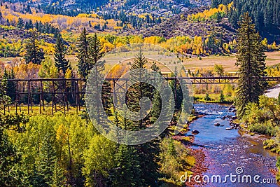Colorado Fall Foliage Stock Photo