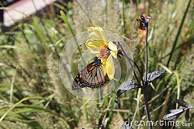 Colorado Nature Outdoors in Boulder Stock Photo