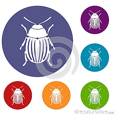 Colorado potato beetle icons set Vector Illustration