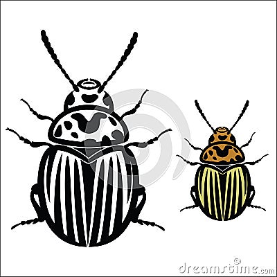 Colorado Potato Beetle Vector Illustration