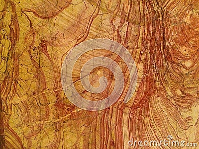 Colorado Rose Onyx Stock Photo