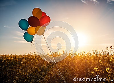 Colored balloons over firld Stock Photo