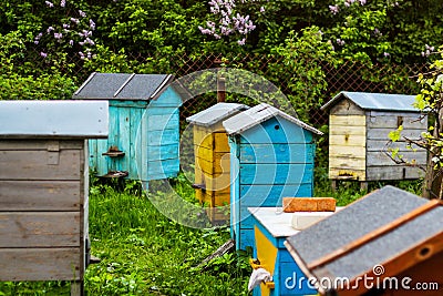 Colored beehive farm boxes for the production of honey. Row of colorful Vintage wooden beehives stay on apiary. Honey healthy food Stock Photo