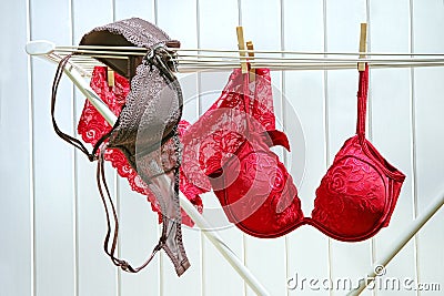 Colored bras and panties drying Stock Photo