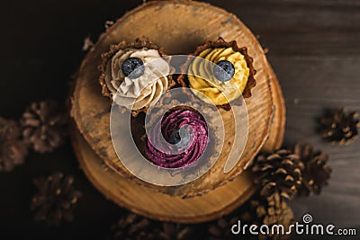 Colored cupcakes Stock Photo