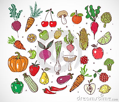 Colored Doodle fruits and vegetables on white background. Vector sketch illustration of healthy food Vector Illustration