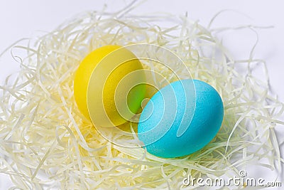Colored Easter eggs in nest isolated on white background. Postcard idea, close-up. Stock Photo