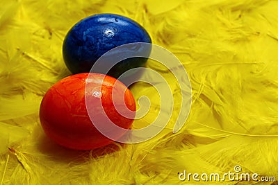 Colored eastereggs on yellow feathers Stock Photo