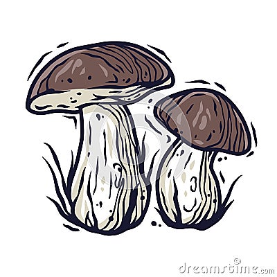 Autumn forest boletus mushroom picking vegan menu Vector Illustration