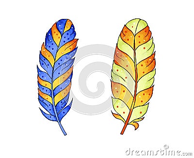 Colored feathers isolated on white Stock Photo