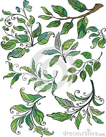 Colored floral twigs Vector Illustration