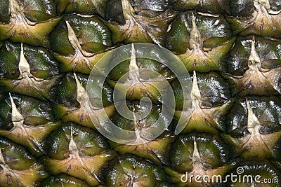 Colored fresh ripe pineapple peel texture closeup Stock Photo