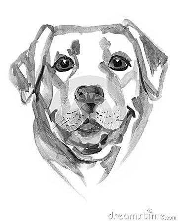 Colored hand drawing Labrador Retriever. Watercolor illustration. Cartoon Illustration