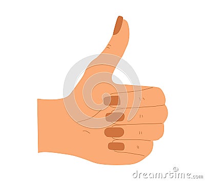colored hand gesture thumbs up Vector Illustration