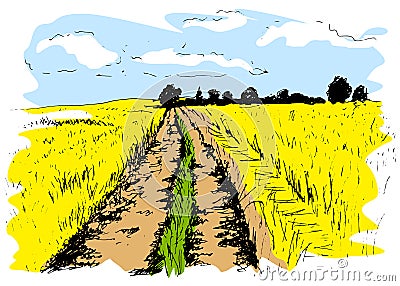 Colored hand sketch dirt road Vector Illustration