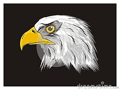 Colored head of eagle Stock Photo