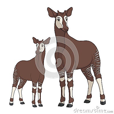Colored illustration with okapi image. Isolated vector objects. Vector Illustration