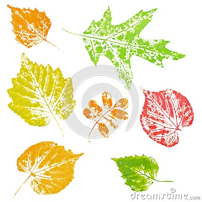 Colored imprint of autumn leaves isolated Stock Photo