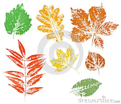 Colored imprint of autumn leaves isolated Stock Photo