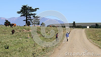 Colored landscape photo of men walking down a dirt road. Editorial Stock Photo