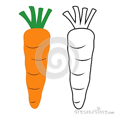 Colored and line icon carrot Vector Illustration