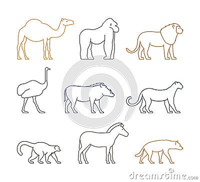 Colored line set of african animals Stock Photo