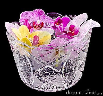 Colored orchid flowers, mauve, yellow, pink, purple in a transparent vase Stock Photo