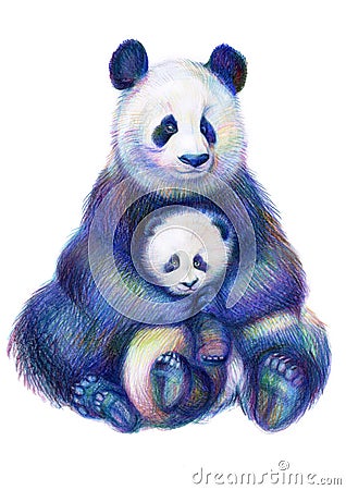 Colored pencils drawing rainbow panda bears family Stock Photo