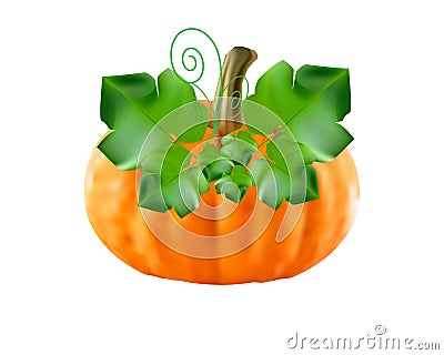 Colored pumpkin with leaves vector Cartoon Illustration