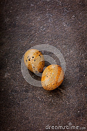 Colored quail eggs by Easter Stock Photo