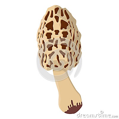 Colored realistic mushroom Vector Vector Illustration