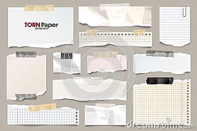 Colored ripped lined paper strips collection. Realistic paper scraps with torn edges. Sticky notes, shreds of notebook Vector Illustration